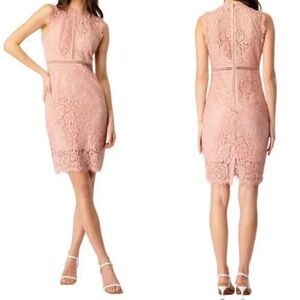 Bardot Lace Midi Dress in Blush